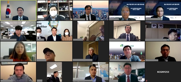 Virtual 2020 New York Business Consultation Meeting