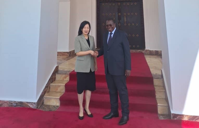 대사, 음팡고 부통령 예방