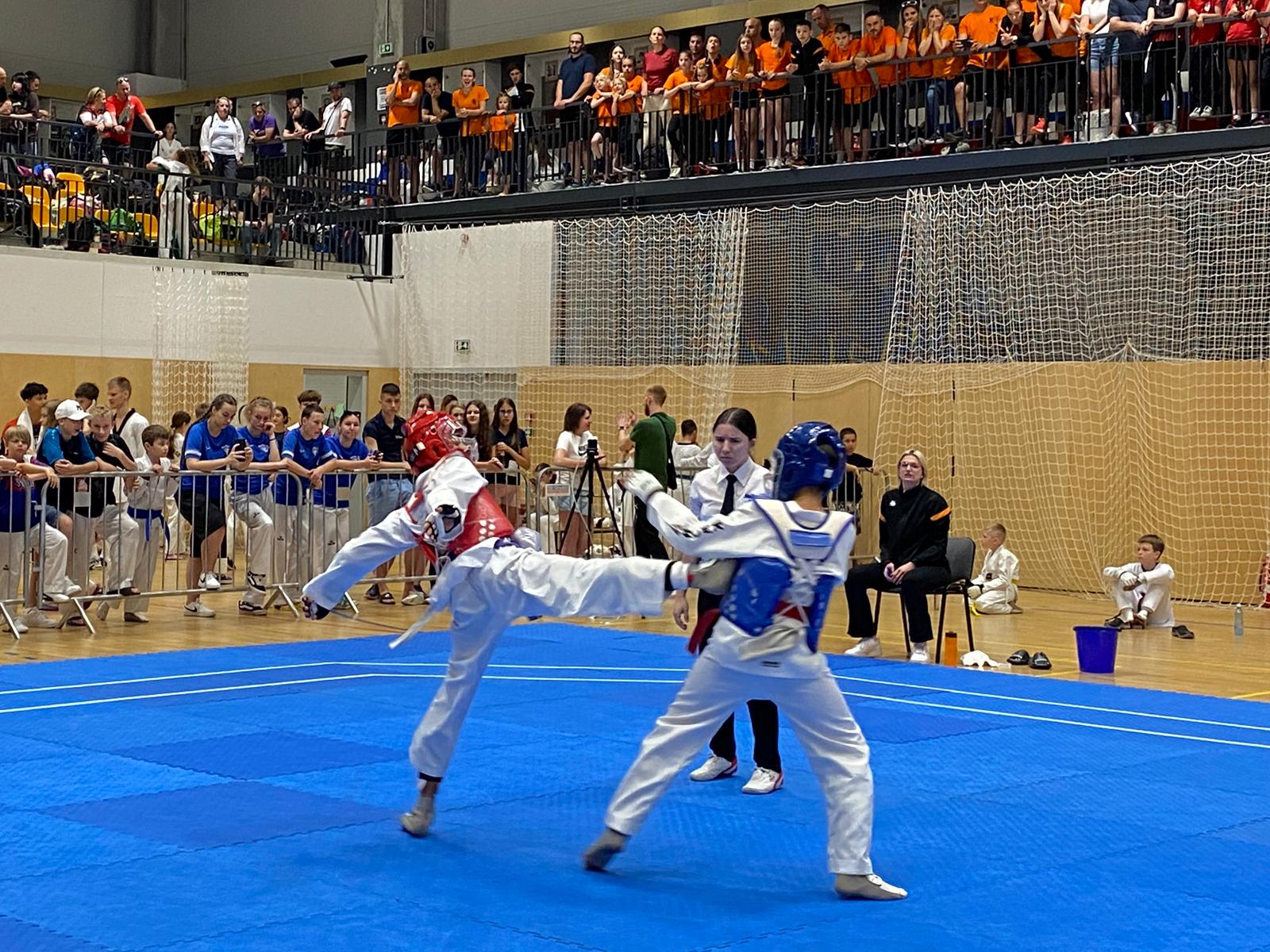 Taekwondo Korean Ambassador's cup & Bratislava open 2025