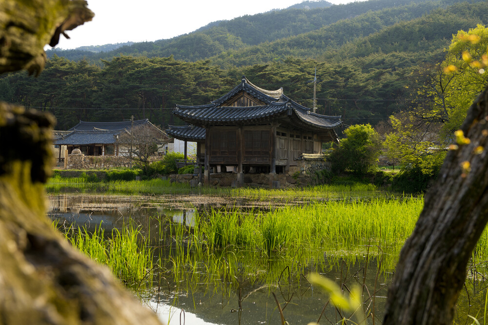 [K-World Heritage] Gyeongju Historic Areas