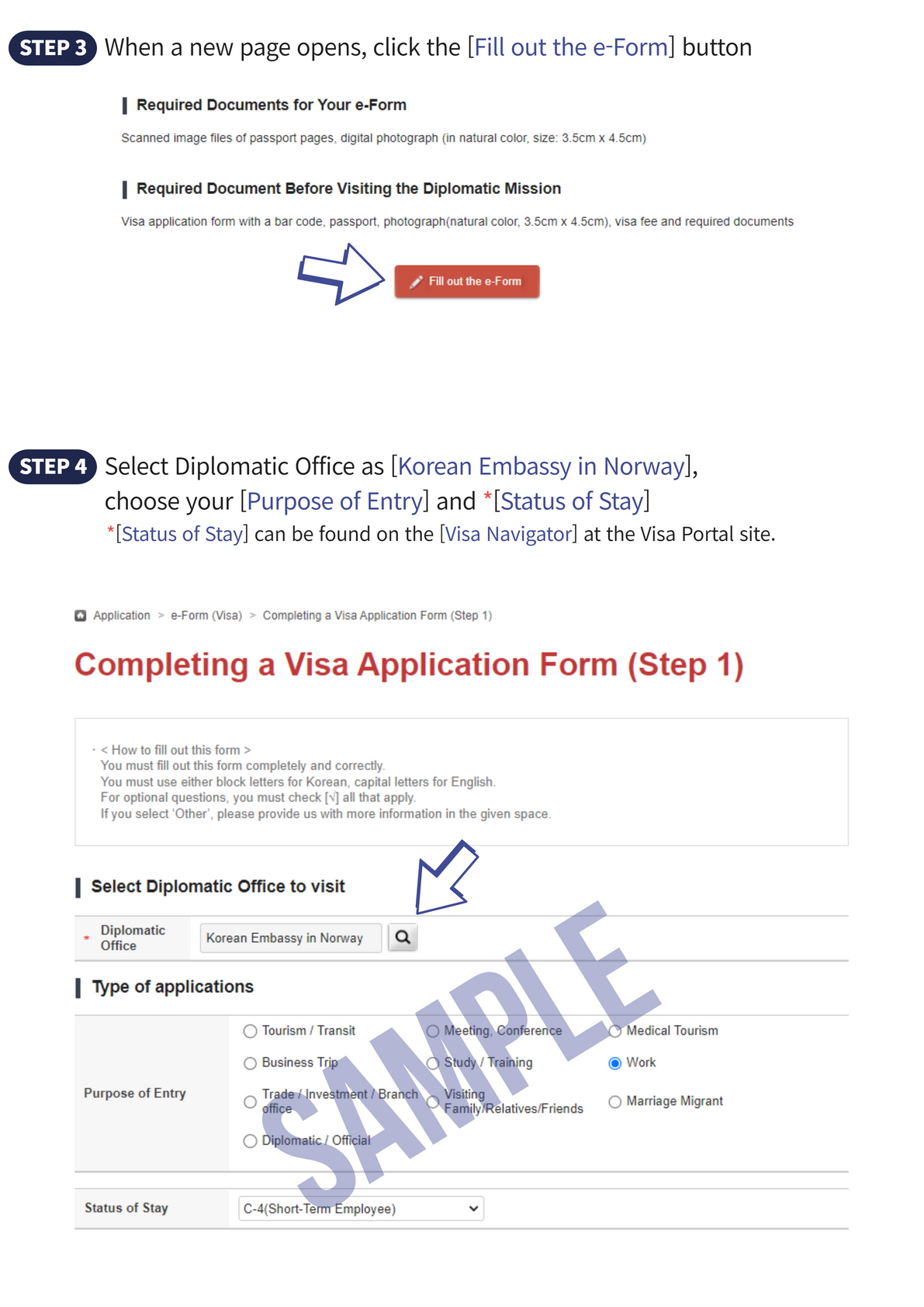 How To Fill Out The Visa Application Form Visa InformationEmbassy how-to-fill-out-the-visa-application-form-visa-informationembassy