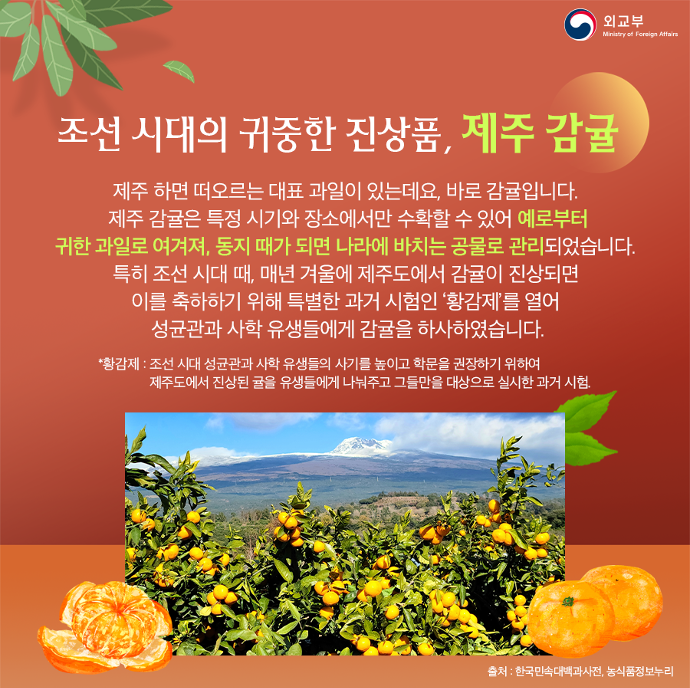 새콤달콤한 제주의 특산물 제주감귤 상세보기|문화 | 주토론토 대한민국 총영사관 주토론토 대한민국 총영사관 