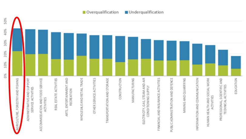 OECD 국가 평균 분야별 자격(숙련도) 불일치 지표