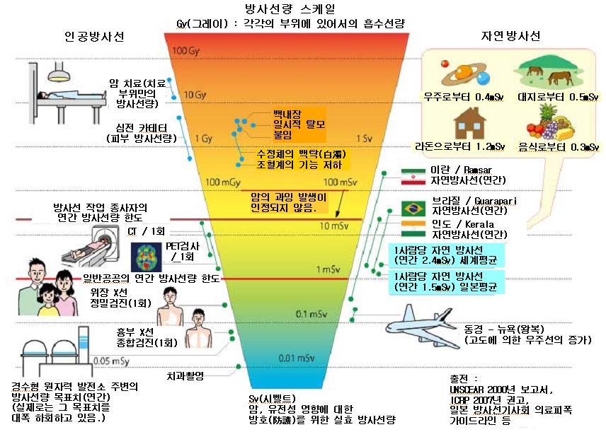 일상생활의 방사선량 스케일 상세보기|새소식 | 주일본국 대한민국 대사관 주일본국 대한민국 대사관 